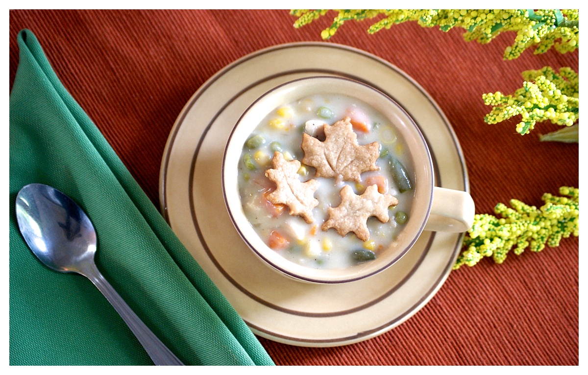 Chicken Recipes | Easy Chicken Recipes | Easy Dinner Recipes | Healthy Chicken Recipes | Quick Cooking | Meal Prep | Make Ahead Meals | Make Ahead Freezer Meals | 10 Reasons Why I have COOKED CHICKEN in my Freezer is on the Six Clever Sisters blog!