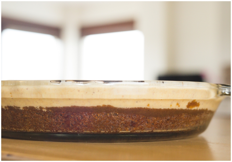 Chocolate Pumpkin Ice Cream Pie