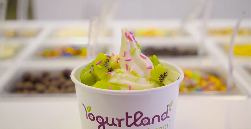 free yogurt land email sign up birthday free fro yo frozen yogurt ice cream