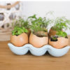 Egg Holder Decoration | Egg Holder | Egg Carton | Farmhouse Decor | Farmhouse Style | Farmhouse Kitchen | Farmhouse Decor | Farmhouse Decor DIY | Inspiration for this cute Egg Holder Decoration on the Six Clever Sisters blog! {Plus a list of stores & prices for ceramic egg holders!}