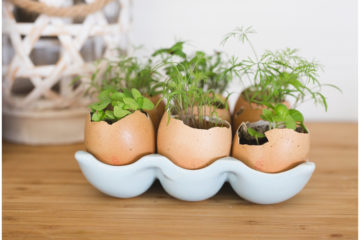 Egg Holder Decoration | Egg Holder | Egg Carton | Farmhouse Decor | Farmhouse Style | Farmhouse Kitchen | Farmhouse Decor | Farmhouse Decor DIY | Inspiration for this cute Egg Holder Decoration on the Six Clever Sisters blog! {Plus a list of stores & prices for ceramic egg holders!}