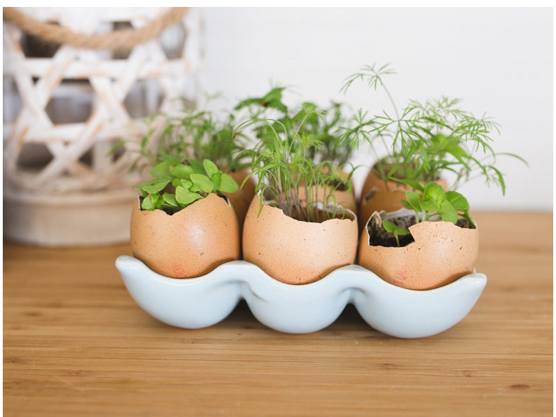 Egg Holder Decoration | Egg Holder | Egg Carton | Farmhouse Decor | Farmhouse Style | Farmhouse Kitchen | Farmhouse Decor | Farmhouse Decor DIY | Inspiration for this cute Egg Holder Decoration on the Six Clever Sisters blog! {Plus a list of stores & prices for ceramic egg holders!}