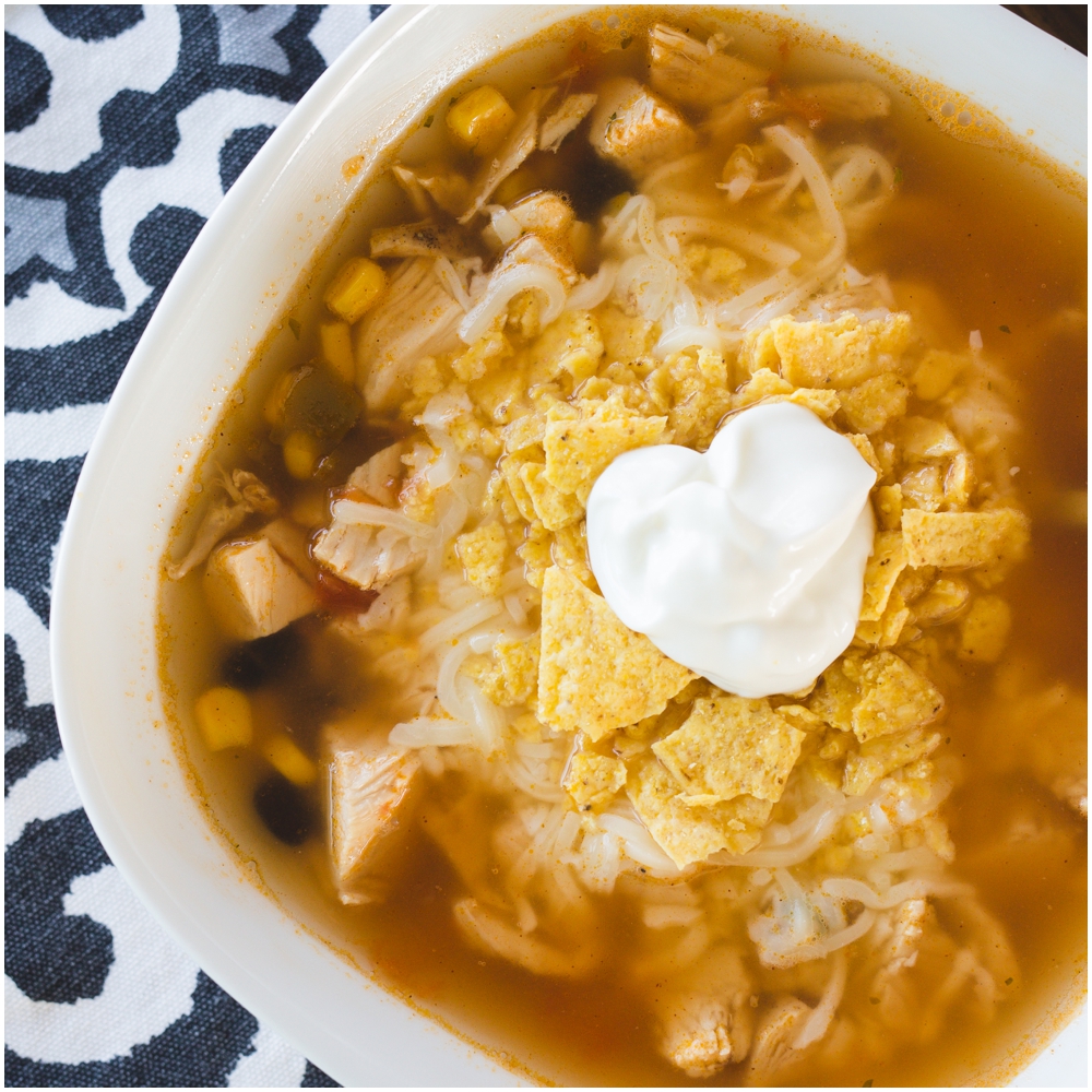 Chicken Recipes | Easy Chicken Recipes | Easy Dinner Recipes | Healthy Chicken Recipes | Quick Cooking | Meal Prep | Make Ahead Meals | Make Ahead Freezer Meals | 10 Reasons Why I have COOKED CHICKEN in my Freezer is on the Six Clever Sisters blog!