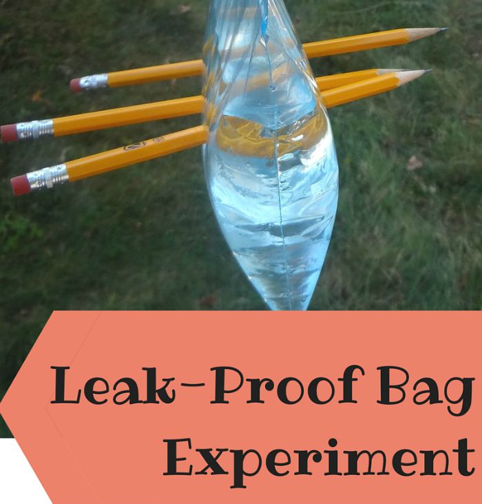 Kids Summer Activities | Kids Summer Activities At Home | Kids Science Experiments | Kids Science Experiments At Home | Kid Fun Activities | Screen Free Summer | Screen Free Activities | Kids Projects For Summer | Science Experiments For Kids | Activities For Kids | Projects For Kids | Hands On Activities For Kids | Boredom Busters | Looking for some great hands-on activities for the kids that will keep you from hearing them say they're bored?! List list has some great ideas! Check it out on Six Clever Sisters.