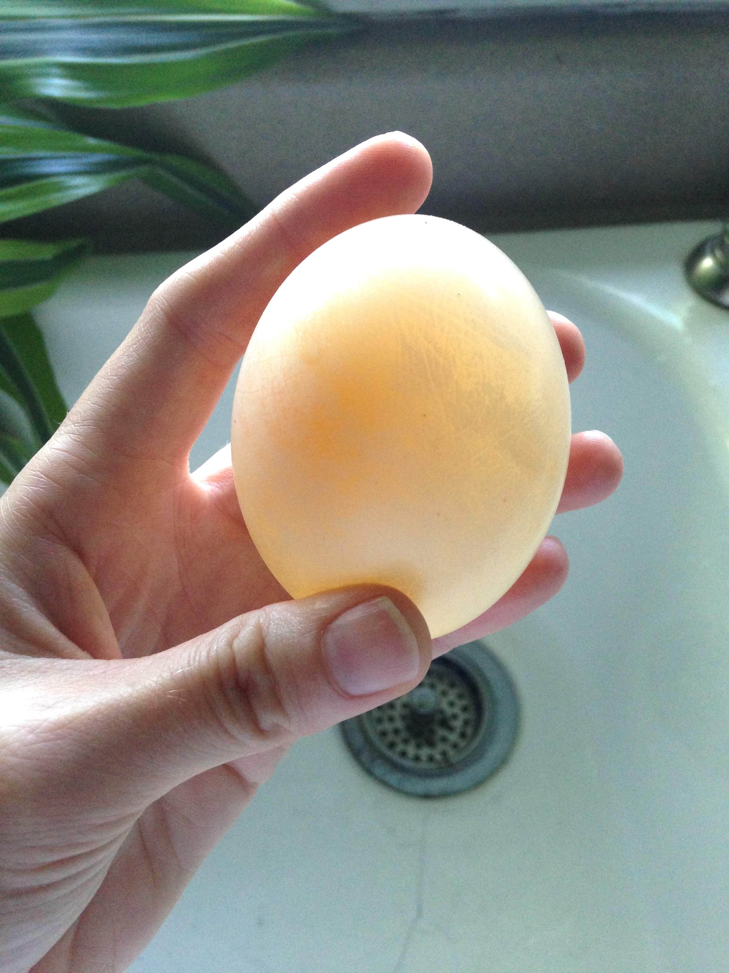 Disappearing Egg Shell | Egg In Vinegar Experiment | Disappearing Egg Shell Experiment | Egg In Vinegar Experiment for Kids | Kids Science Experiments | Science Experiments For Kids | Bouncy Egg Experiment | Bouncy Egg Science Project | Kid Science | With just an egg and vinegar you can see how an egg shell disappears! Check it out on Six Clever Sisters for details.