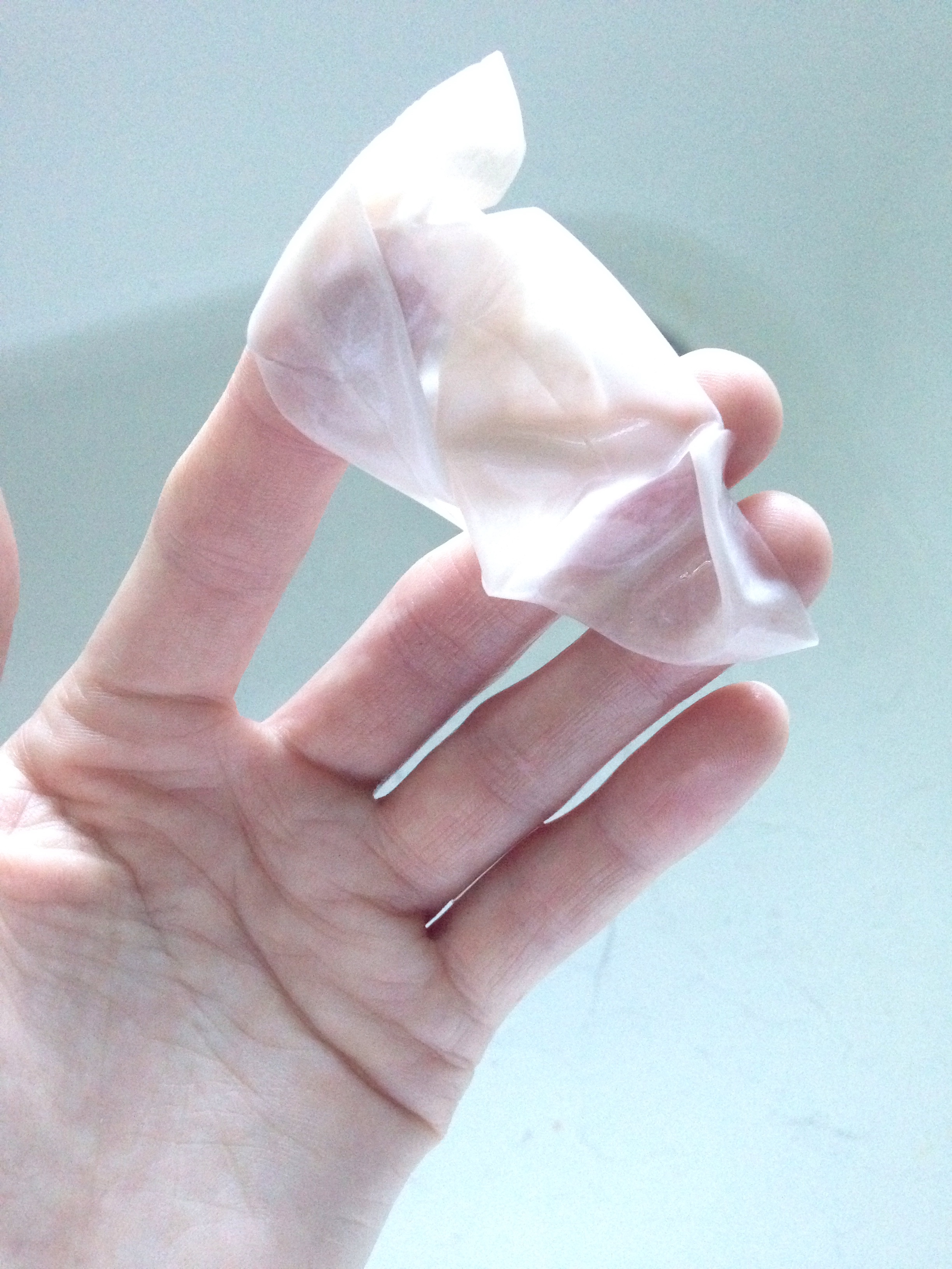 Disappearing Egg Shell | Egg In Vinegar Experiment | Disappearing Egg Shell Experiment | Egg In Vinegar Experiment for Kids | Kids Science Experiments | Science Experiments For Kids | Bouncy Egg Experiment | Bouncy Egg Science Project | Kid Science | With just an egg and vinegar you can see how an egg shell disappears! Check it out on Six Clever Sisters for details.