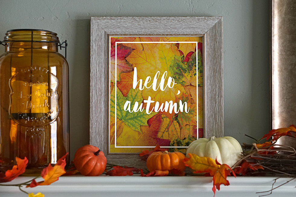 4 Ways to Transform Your Home This Fall | Transform Your Home | How to Decorate for Fall | How to Decorate for Fall on a Budget | How to Decorate for Fall DIY | 4 tips for transforming your home for fall are on the Six Clever Sisters blog!