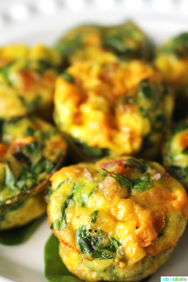 Make Ahead Breakfast | Make Ahead Breakfast Casserole | Make Ahead Breakfast Healthy | Make Ahead Breakfast Burrito | Make Ahead Breakfast Cups | Breakfast Ideas | Breakfast Casserole | Breakfast Recipes | Holiday Breakfast | Holiday Breakfast Ideas | Holiday Breakfast Recipes | Holiday Breakfast Casserole | Breakfast Ideas That Can Be Frozen | Looking for a way to have a delicious without all the work of making it in the morning? This collection of recipes includes a great variety of #breakfast ideas that can be made the night before. And, a lot of these recipes give you the freezing instructions as well.