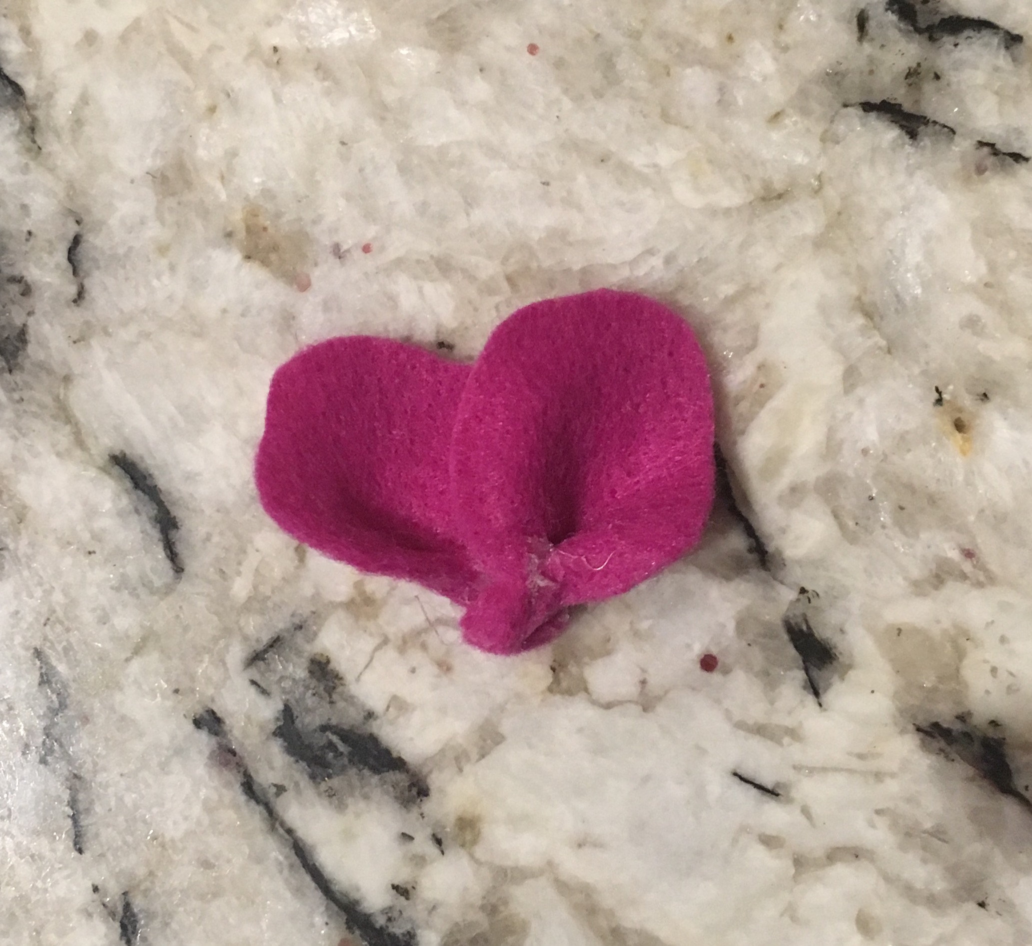 Baby headband stretchy polka dot floral easy diy baby gift baby project no-sew elastic headband navy and pink and mustard