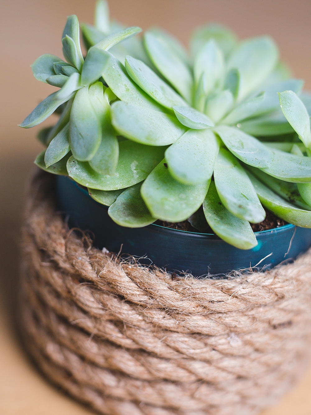 Reuse Candle Jars | Reuse Candle Jar | Reuse Candle Jars Ideas | Reuse Yankee Candle Jars | Reuse Yankee Candle Jar | Reuse Glass Candle Jar | Reuse a Candle Jar | What to Reuse Candle Jars For | Get the details on how to make this succulent planter on the Six Clever Sisters blog!