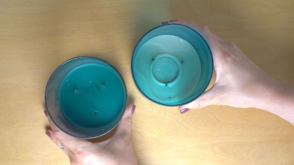 Reuse Candle Jars | Reuse Candle Jar | Reuse Candle Jars Ideas | Reuse Yankee Candle Jars | Reuse Yankee Candle Jar | Reuse Glass Candle Jar | Reuse a Candle Jar | What to Reuse Candle Jars For | Get the details on how to make this succulent planter on the Six Clever Sisters blog!