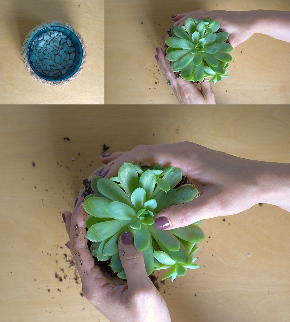 Reuse Candle Jars | Reuse Candle Jar | Reuse Candle Jars Ideas | Reuse Yankee Candle Jars | Reuse Yankee Candle Jar | Reuse Glass Candle Jar | Reuse a Candle Jar | What to Reuse Candle Jars For | Get the details on how to make this succulent planter on the Six Clever Sisters blog!
