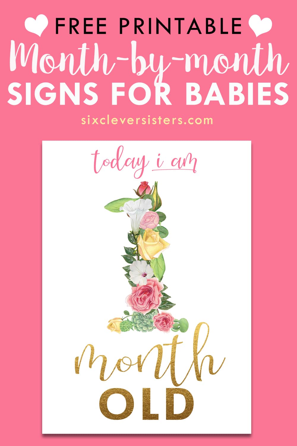 Month Signs for Babies | Month Signs | Month Milestone | Month Signs for Baby Pictures | Month Signs for Baby Photos | Free Printable Month Signs for Baby Pictures | Free Printable Month Signs for Baby Photos | Free Printable Month Signs for Baby Girl