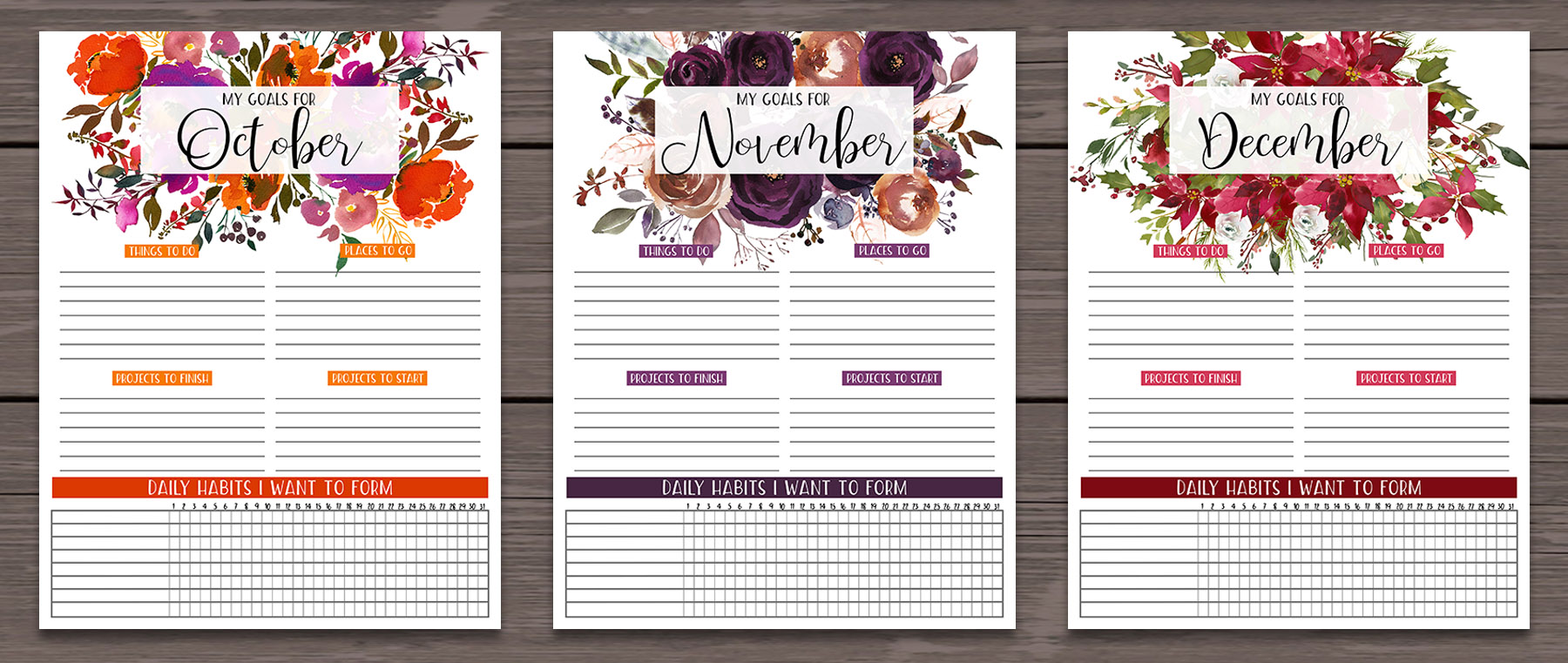 Monthly Goals Printable | Monthly Goal Planner | Monthly Goal Planner Free | Monthly Goal Planner Printable | Monthly Goals Printable Free | Monthly Goals | Monthly Goals Bullet Journal | Goals Planner Printable | Goals Planner DIY | Goals Planner Printable Free | Download our free printable floral GOALS PLANNER PAGES for each month! PDF's are on the Six Clever Sisters' blog!