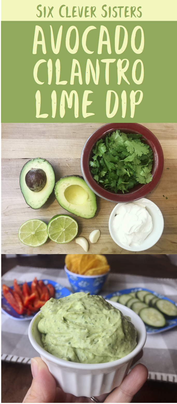 Avocado | Healthy Appetizer | Summer Dip | Avocado Recipes | Cilantro Lime Dressing | Cilantro Recipes | Pool Party | Pool Party Ideas | Summer Party Food | Summer Food | Appetizer | Appetizer Easy | Appetizer Healthy | Appetizers for Party | Dip for Chips | Dip for Chicken | Dip for Parties | Lime | Garlic | Dip Recipe | Recipe on Six Clever Sisters!