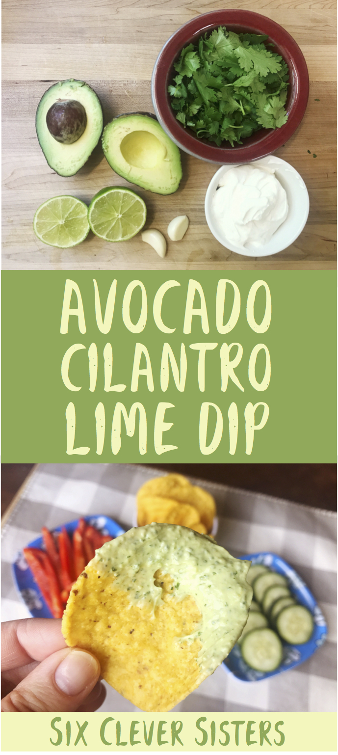 Avocado | Healthy Appetizer | Summer Dip | Avocado Recipes | Cilantro Lime Dressing | Cilantro Recipes | Pool Party | Pool Party Ideas | Summer Party Food | Summer Food | Appetizer | Appetizer Easy | Appetizer Healthy | Appetizers for Party | Dip for Chips | Dip for Chicken | Dip for Parties | Lime | Garlic | Dip Recipe | Recipe on Six Clever Sisters!