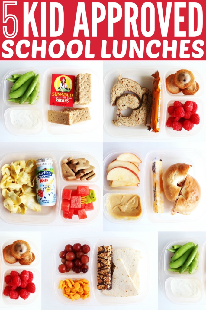 Lunch Box Ideas | School Lunches | School Lunch Box | Lunch Box Food | School Lunches | Looking for healthy lunches to pack for your kids for school this year? Check out my list of great lunch box ideas at SixCleverSisters.com