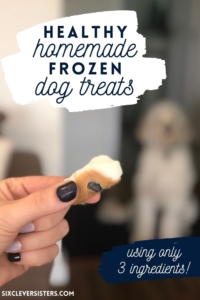 Healthy Homemade Dog Treats | Frozen Dog Treats | Healthy Dog Treats | Homemade Treats for my Dog | Blueberry Frozen Dog Treats | Peanut Butter Dog Treats | Easy Healthy Dog Treat Recipe | Looking for a healthy dog treat recipe for your pup? This one is a simple three-ingredient recipe with no added sugars and makes a tasty cool treat for your pup in the summer. Find the recipe at SixCleverSisters.com.