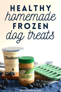 Healthy Homemade Dog Treats | Frozen Dog Treats | Healthy Dog Treats | Homemade Treats for my Dog | Blueberry Frozen Dog Treats | Peanut Butter Dog Treats | Easy Healthy Dog Treat Recipe | Looking for a healthy dog treat recipe for your pup? This one is a simple three-ingredient recipe with no added sugars and makes a tasty cool treat for your pup in the summer. Find the recipe at SixCleverSisters.com.