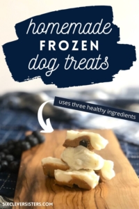 Healthy Homemade Dog Treats | Frozen Dog Treats | Healthy Dog Treats | Homemade Treats for my Dog | Blueberry Frozen Dog Treats | Peanut Butter Dog Treats | Easy Healthy Dog Treat Recipe | Looking for a healthy dog treat recipe for your pup? This one is a simple three-ingredient recipe with no added sugars and makes a tasty cool treat for your pup in the summer. Find the recipe at SixCleverSisters.com.