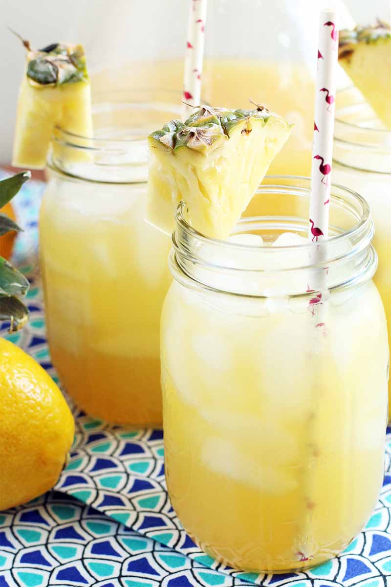 Lemonade Recipe | Lemonade Recipe Easy | Homemade Lemonade | A Simple Lemonade Recipe | Lemonade Recipe Homemade | Lemonade Recipe for Party | Summer Lemonade | Summer Lemonade Recipes | Summertime Lemonade | Summertime is when we need all the ice cold drinks! These yummy lemonade recipes will satisfy your summer thirst. This compilation of lemonade recipes are a great variety and will have you wanting to try SO many! #recipe #recipeoftheday #lemonade #summer #drink #homemade