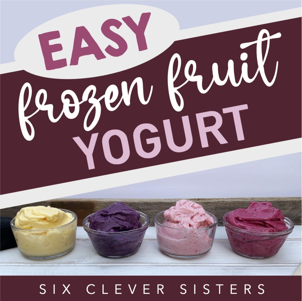 Easy Frozen Fruit Yogurt | Fresh Fruit | Frozen Fruit | Yogurt | Ice Cream | Peach | Blueberry | Strawberry | Cherry | Healthy Snack | Healthy Dessert | Low calorie | Diet | Low Fat | Summer Dessert | Summer | Ninja | Blender | Smoothie | Six Clever Sisters