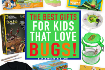 Bug Gifts | Bug Gift Ideas | Bug Gifts for Kids | Bug Gift Ideas for Kids | Bug Birthday Gifts