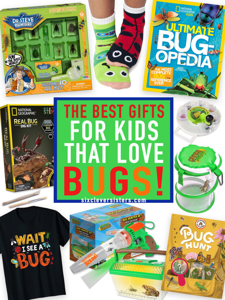 Bug Gifts | Bug Gift Ideas | Bug Gifts for Kids | Bug Gift Ideas for Kids | Bug Birthday Gifts