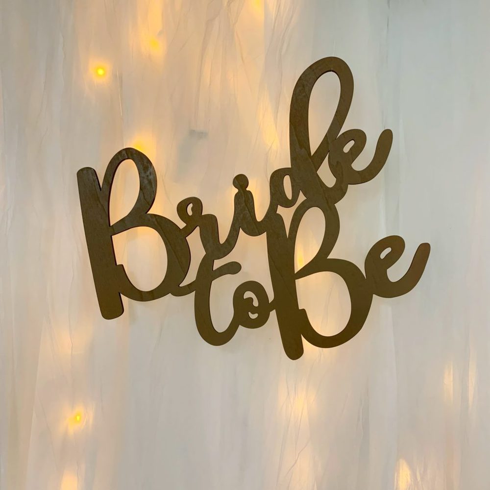 Bridal Shower | Lit Tulle Backdrop | Baby Shower | Wedding | Spring Wedding | Summer Wedding | Winter wedding | Christmas Bride | Winter Bride | Bridal Shower | Bridal Party | Lights for Wedding | Backdrop for Shower | Shower Decor | Baby Shower Decor | Tulle | Tulle and Lights | Six Clever Sisters