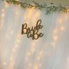 Bridal Shower | Lit Tulle Backdrop | Baby Shower | Wedding | Spring Wedding | Summer Wedding | Winter wedding | Christmas Bride | Winter Bride | Bridal Shower | Bridal Party | Lights for Wedding | Backdrop for Shower | Shower Decor | Baby Shower Decor | Tulle | Tulle and Lights | Six Clever Sisters