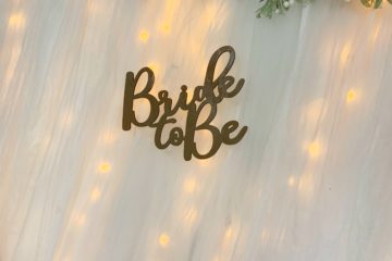 Bridal Shower | Lit Tulle Backdrop | Baby Shower | Wedding | Spring Wedding | Summer Wedding | Winter wedding | Christmas Bride | Winter Bride | Bridal Shower | Bridal Party | Lights for Wedding | Backdrop for Shower | Shower Decor | Baby Shower Decor | Tulle | Tulle and Lights | Six Clever Sisters