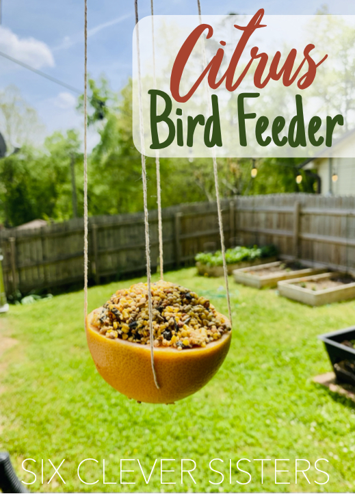 Bird Feeder Craft | DIY Kids | Backyard Ideas | Citrus Feeder | SUmmer Craft | Nature Activity | Birds | Outdoor Ideas | Summer Break Kids | Kid Craft | Summer Kid Craft | Six Clever Sisters