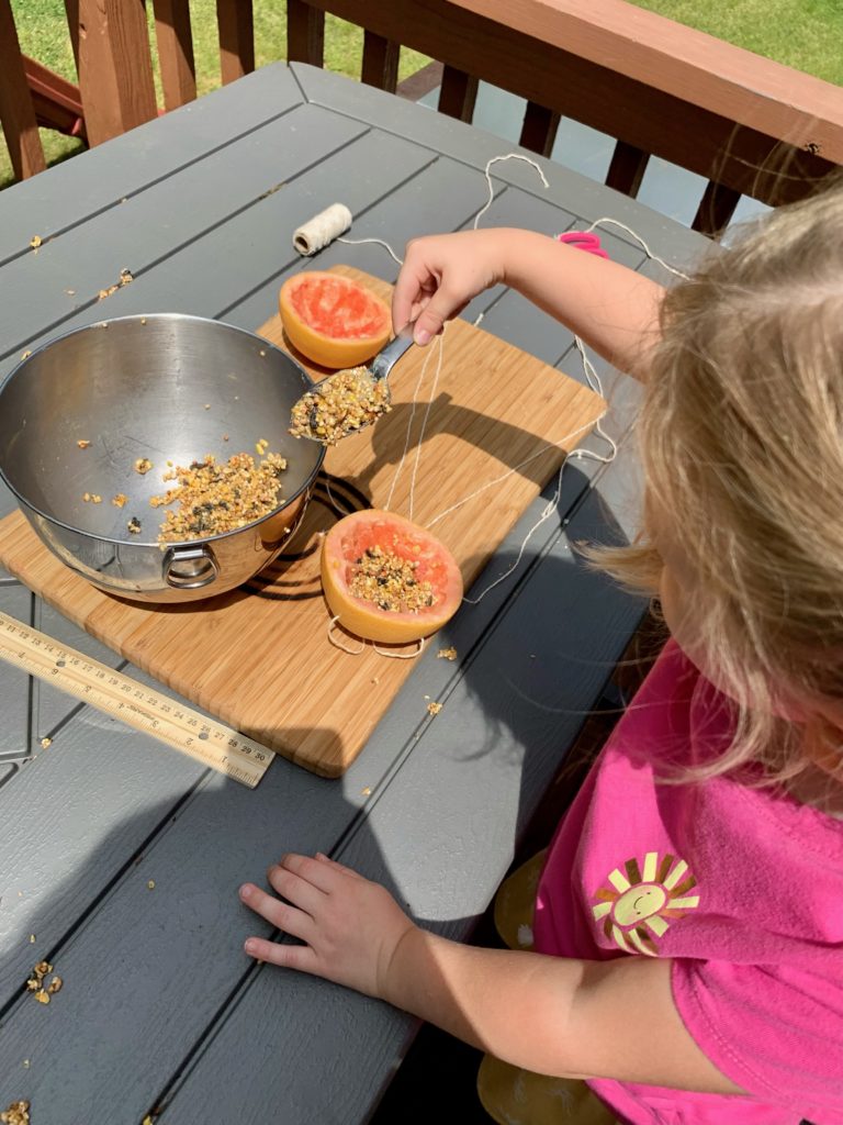 Bird Feeder Craft | DIY Kids | Backyard Ideas | Citrus Feeder | SUmmer Craft | Nature Activity | Birds | Outdoor Ideas | Summer Break Kids | Kid Craft | Summer Kid Craft | Six Clever Sisters