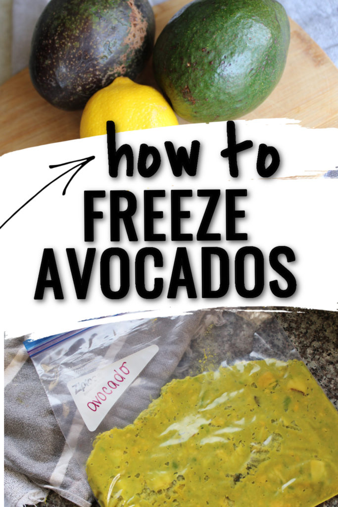 frozen avocado | how to freeze avocado | Six Clever Sisters