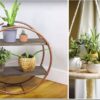 plant shelf ideas