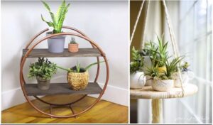 plant shelf ideas