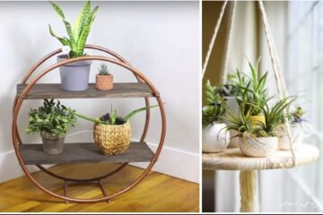 plant shelf ideas