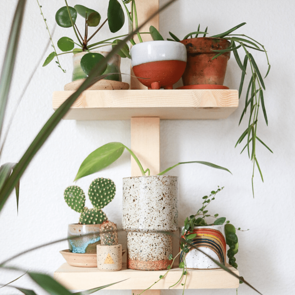 plant shelf idea diy