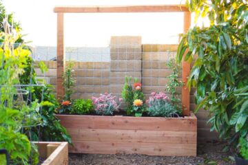 Inexpensive-Raised-Garden-Bed-Ideas