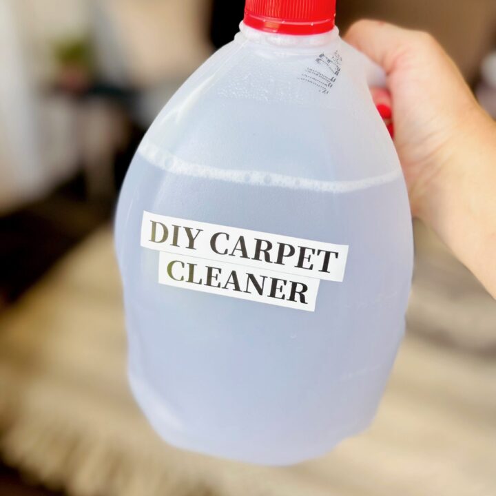 DIY Carpet Cleaner | Rug Doctor | Carpet Refresher | Stain Remover | Homemade Cleaner | Homemade Stain Remover | Steam Clean | Steam Mop | House Cleaning Tips | Cleaning Hacks | Six Clever Sisters