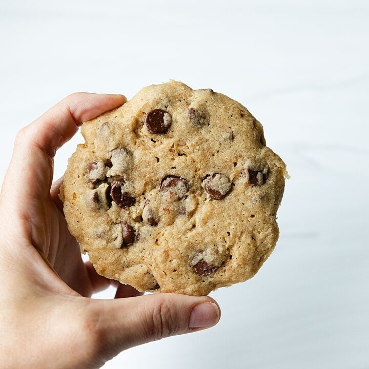 Single Serve Chocolate Chip Cookie No Egg | Single Serve Chocolate Chip Cookie Microwave | Single Serve Chocolate Chip Cookie Air Fryer | Single Serve Chocolate Chip Cookie Mug | Single Serve Chocolate Chip Cookie Skillet